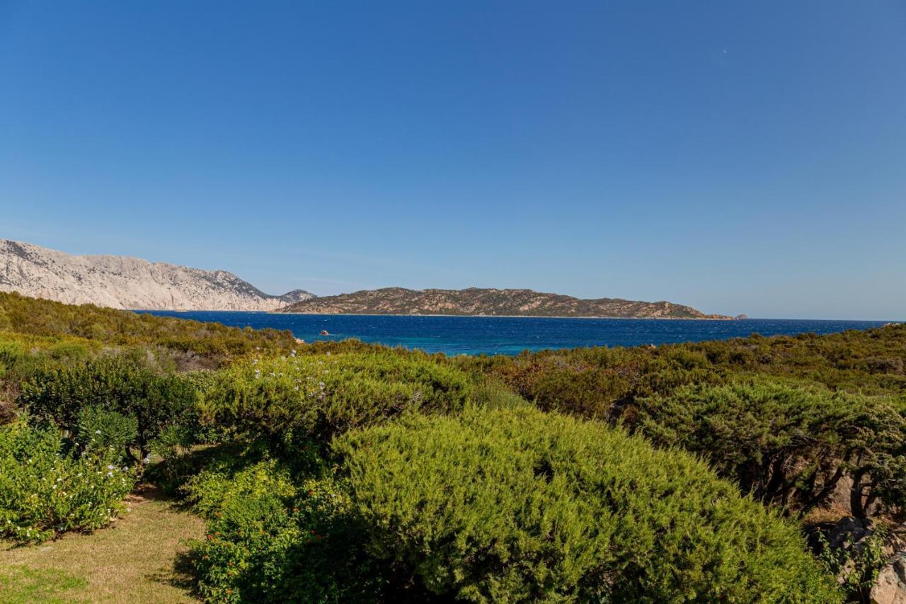 Appartamento Cala Paradiso سان تيودورو المظهر الخارجي الصورة